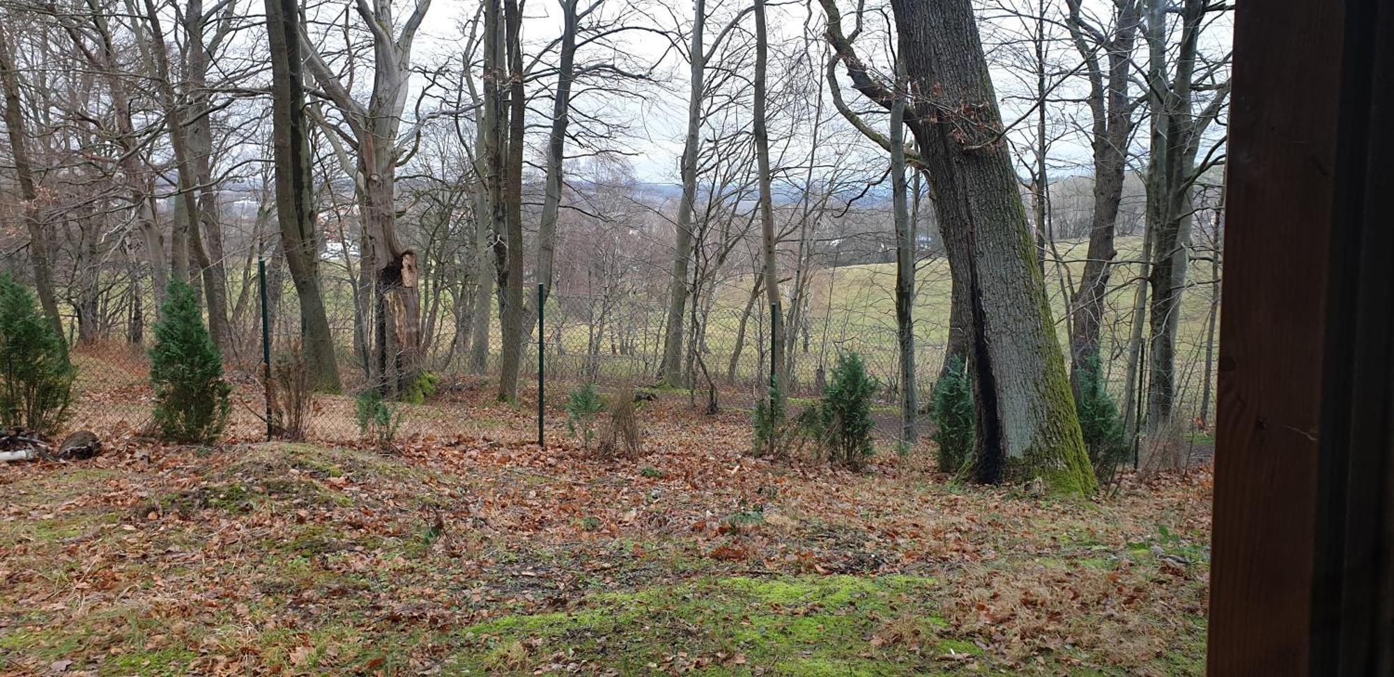 Waldhaus Hempe Villa Tabarz Kültér fotó